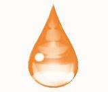 ORANGE OIL NATURAL FLAVORMASTER ORANGE 1L