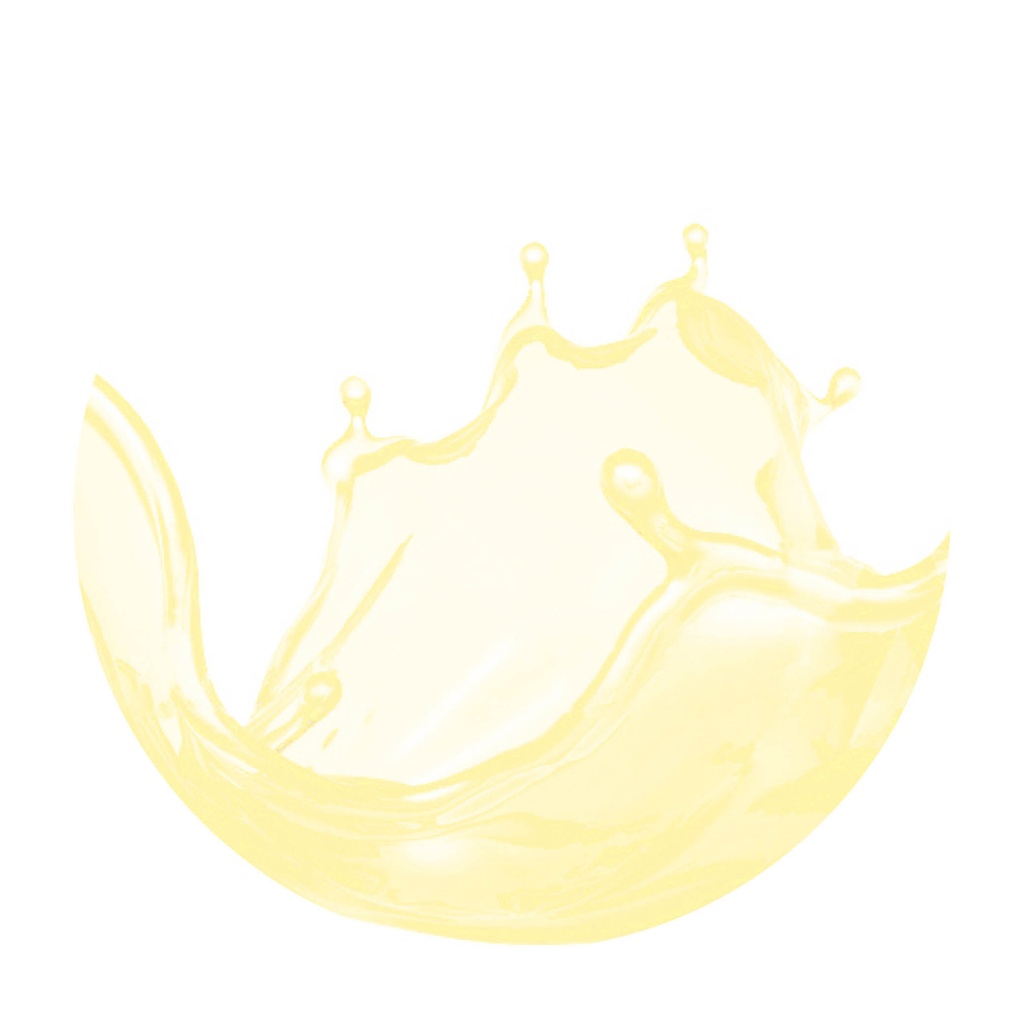 KERRY BUTTER FLAVOUR COLOUR 25L 20652458