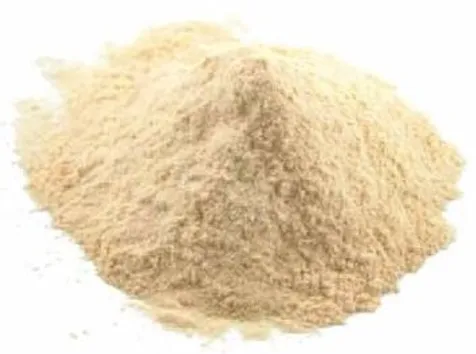 GARLIC POWDER 1KG
