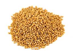 [MUSTSEED] MUSTARD SEED YELLOW 1KG