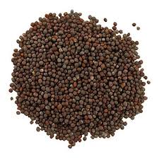 [MUSTSEEDBR] MUSTARD SEED BROWN 1KG BAG