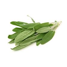 [FRSAGE] FROZEN SAGE IQF 10KG CTN
